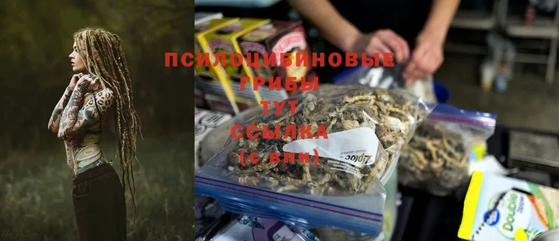 Псилоцибиновые грибы MAGIC MUSHROOMS  Барабинск 